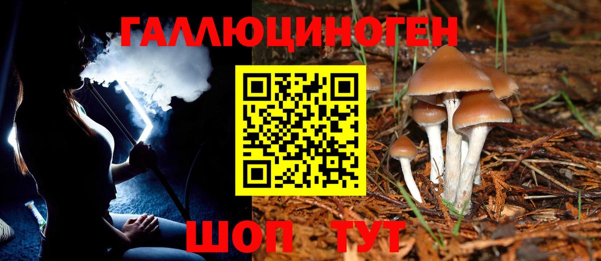 Славгород  Галлюциногенные грибы MAGIC MUSHROOMS  закладка  Вход с VPN 